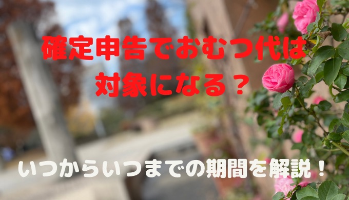 確定申告で介護のおむつ代は対象になる？いつからいつまでの分なのか